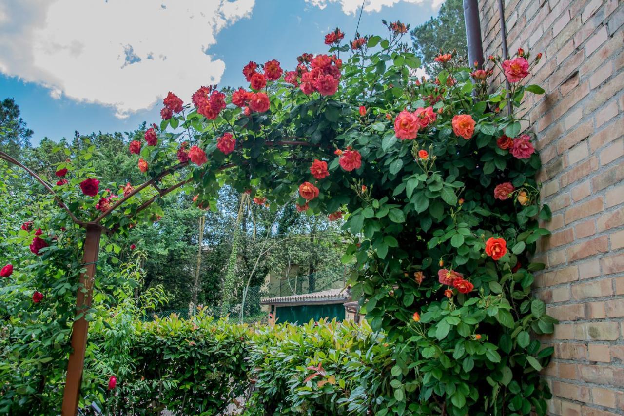 I Due Cipressi Guest House Torrenieri Bagian luar foto